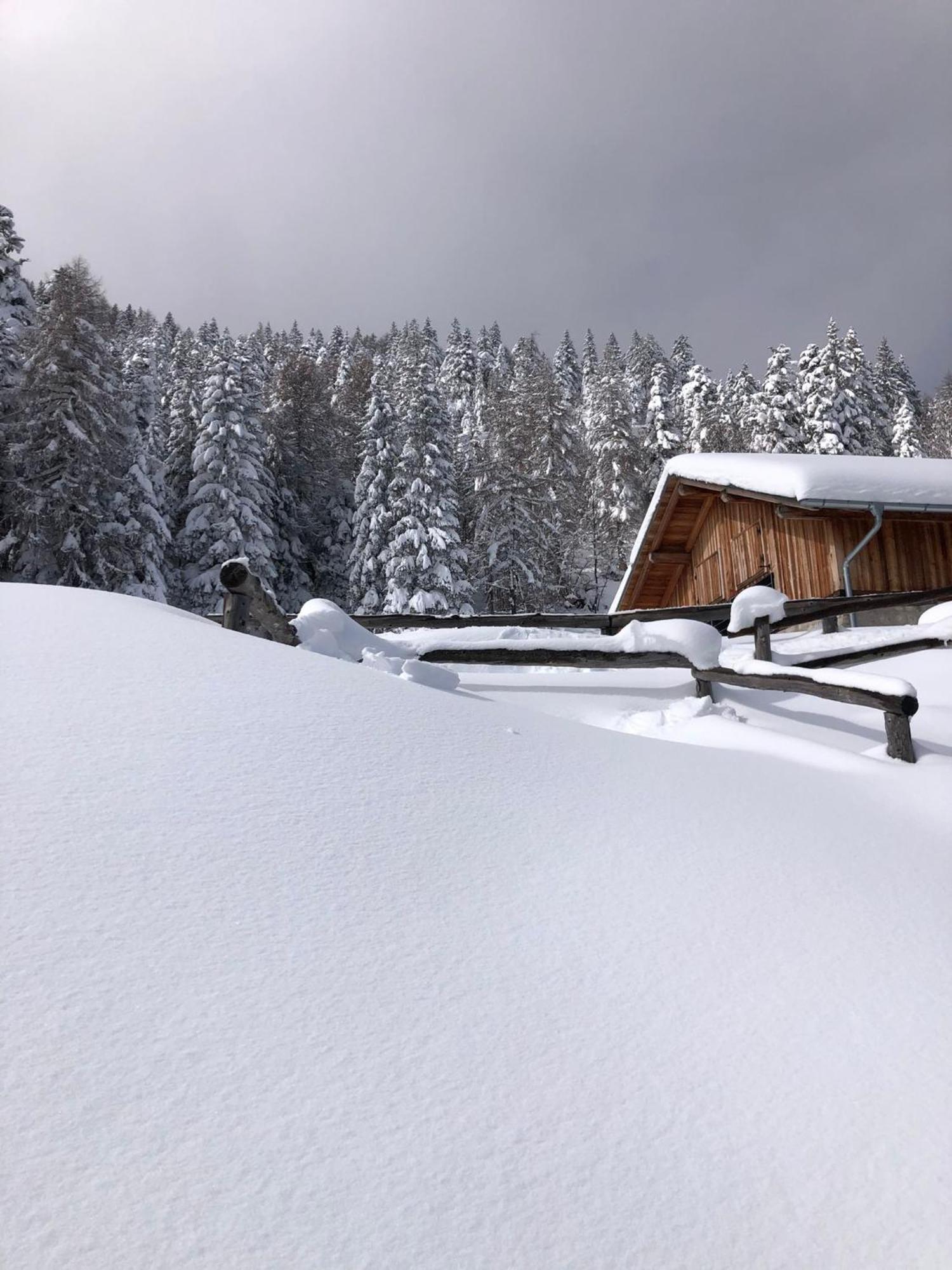 Brenta Luxury Chalet Neuspaur Exterior foto